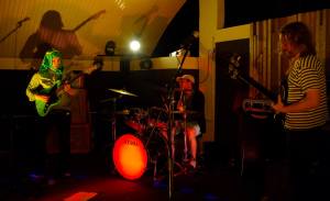 Sunlight Services Group