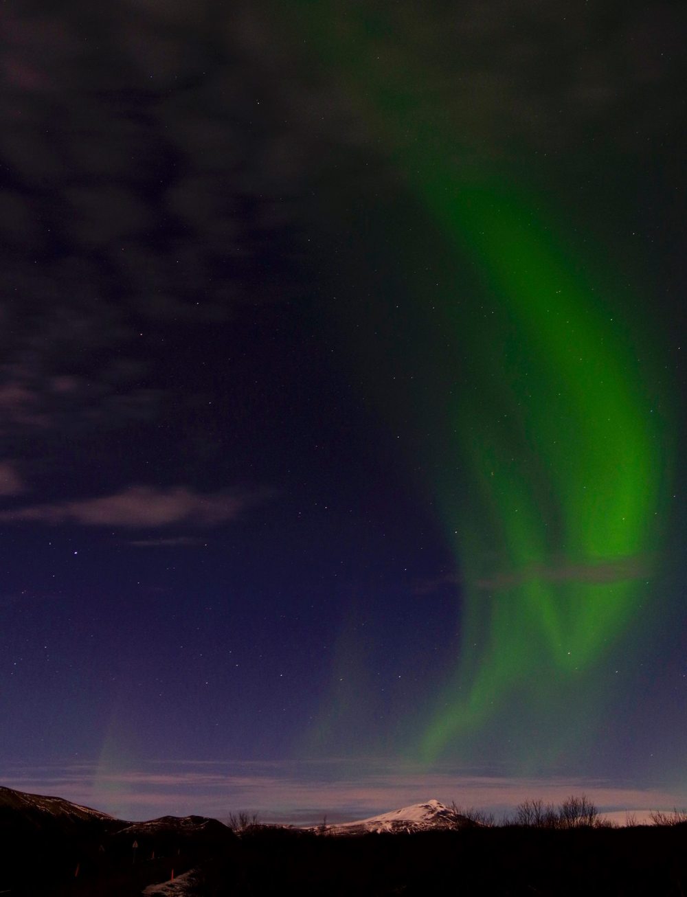 Copyright Lampyandfox2017