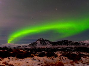 Copyright Lampyandfox2017