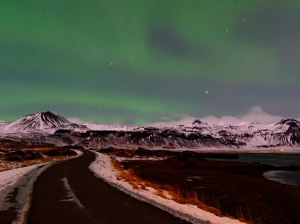 Copyright Lampyandfox2017