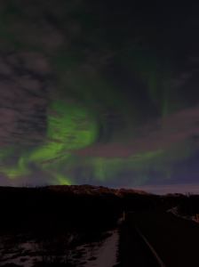 Copyright Lampyandfox2017