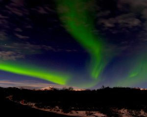 Copyright Lampyandfox2017