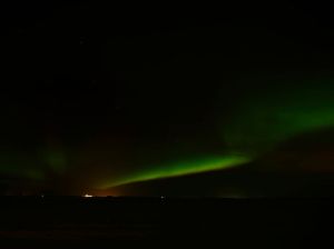 Copyright Lampyandfox2017